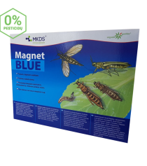 MAGNET blue (20x25 cm) –  tripsų, daiginių uodelių gaudyklė